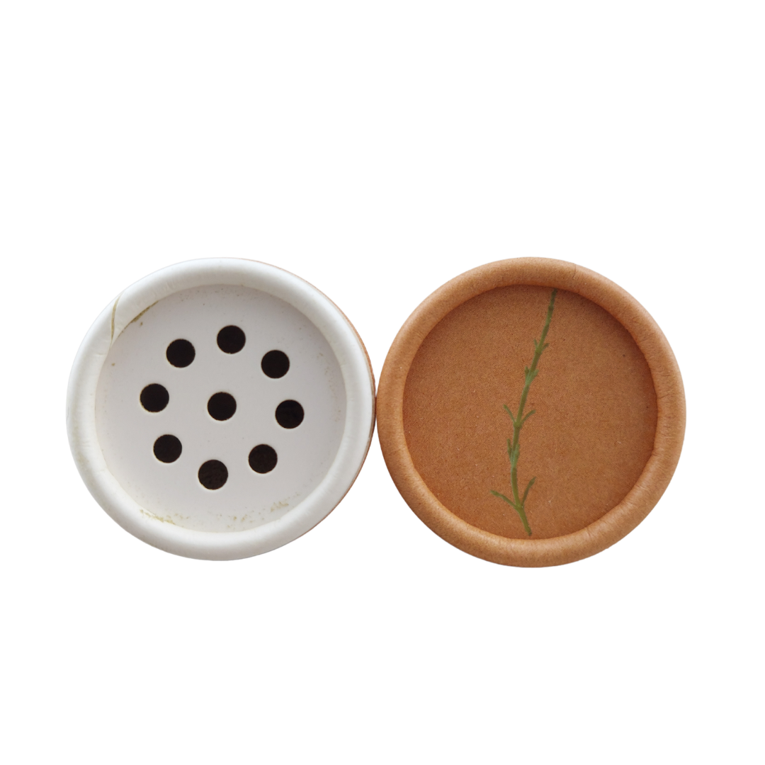 Salero Sal Verde 50g